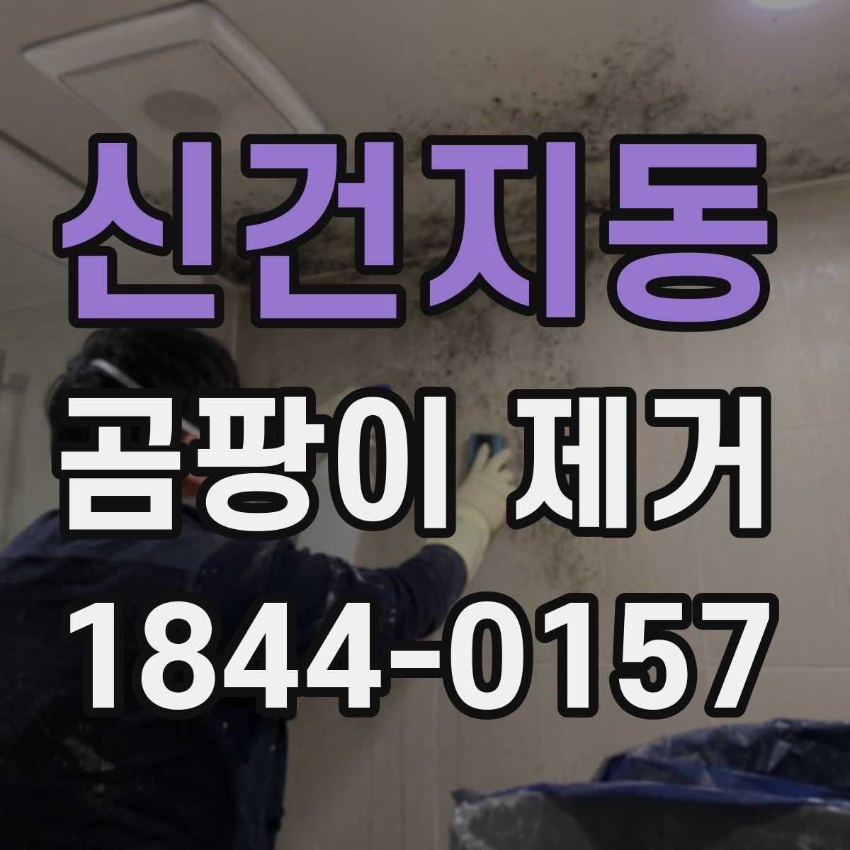 신건지동 곰팡이 제거 셀프 작업과 전문 처리의 차이