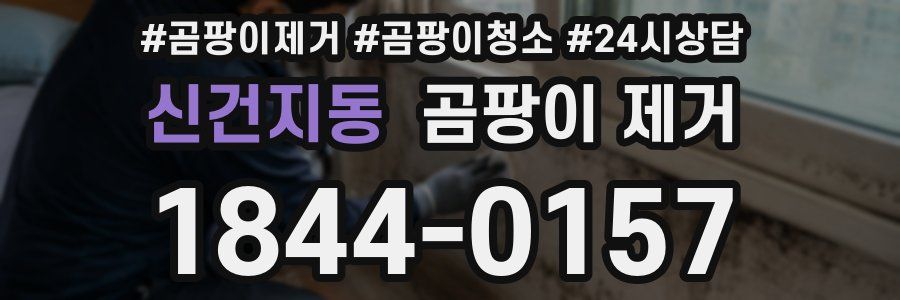 신건지동 곰팡이 제거