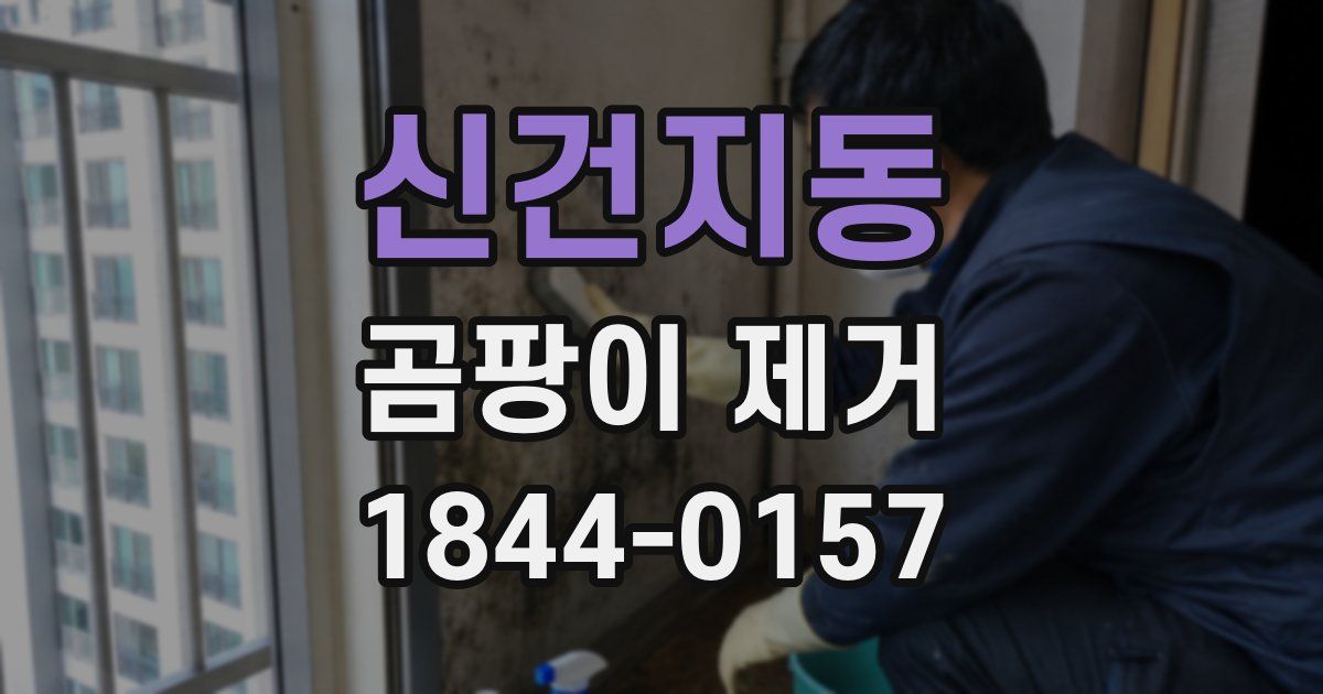 신건지동 곰팡이 제거