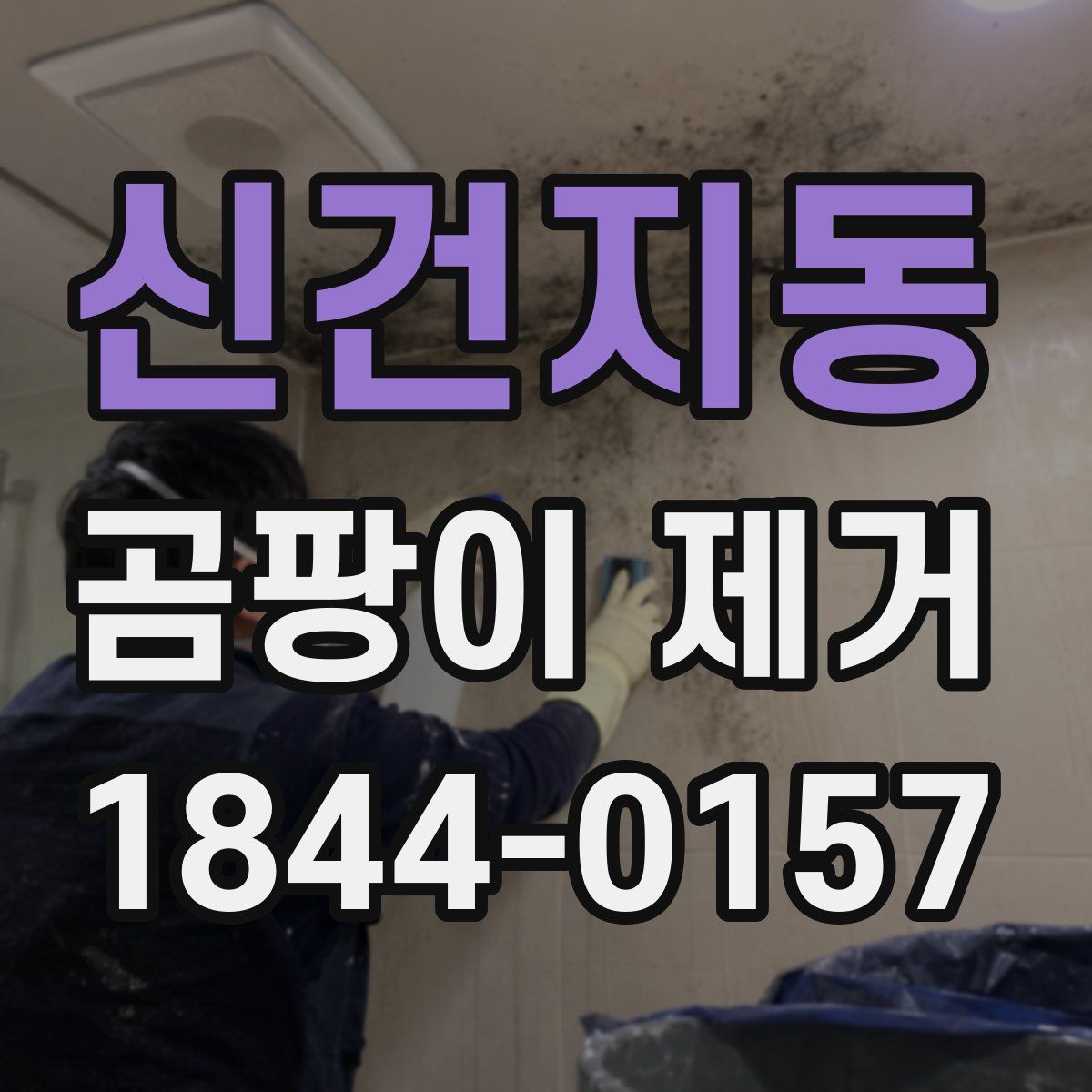 신건지동 곰팡이 제거