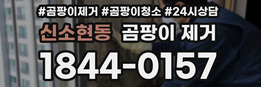 신소현동 곰팡이 제거