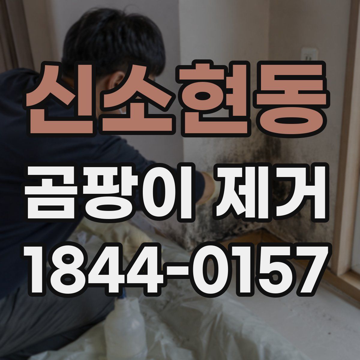 신소현동 곰팡이 제거