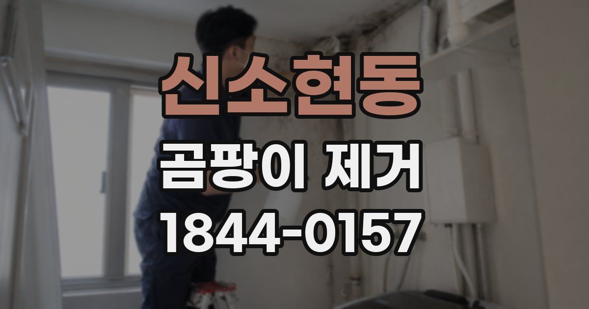 신소현동 곰팡이 제거