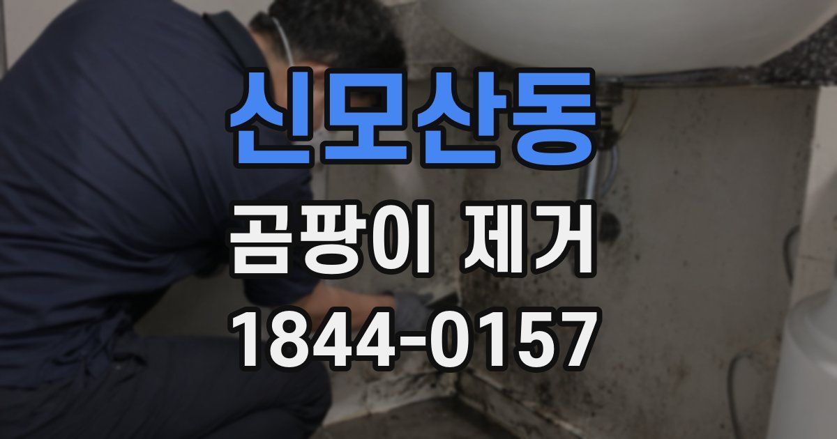 신모산동 곰팡이 제거