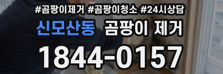 신모산동 곰팡이 제거
