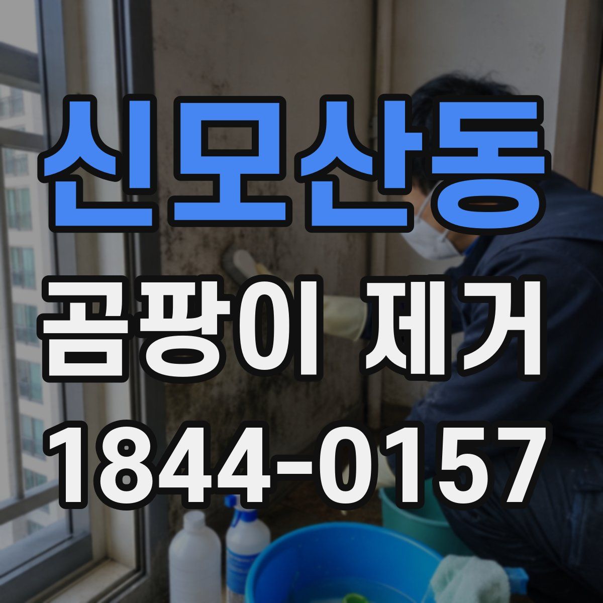 신모산동 곰팡이 제거
