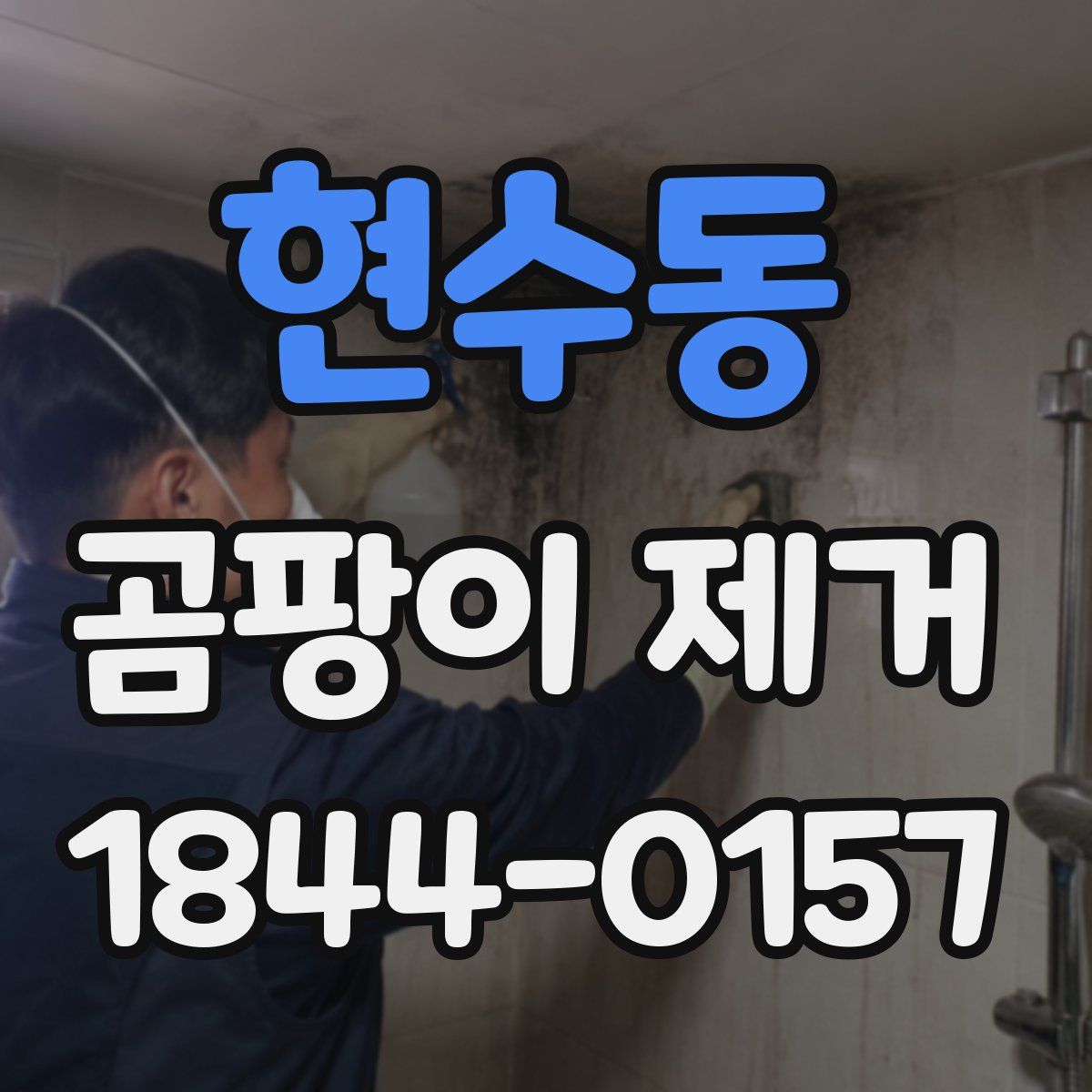 현수동 곰팡이 제거