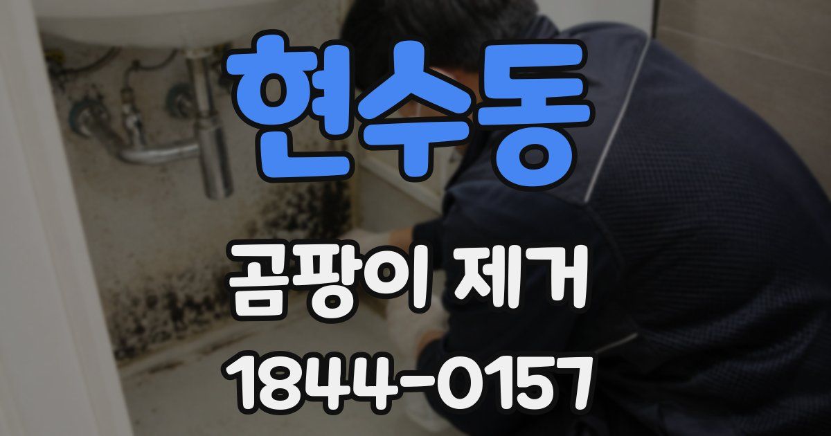 현수동 곰팡이 제거