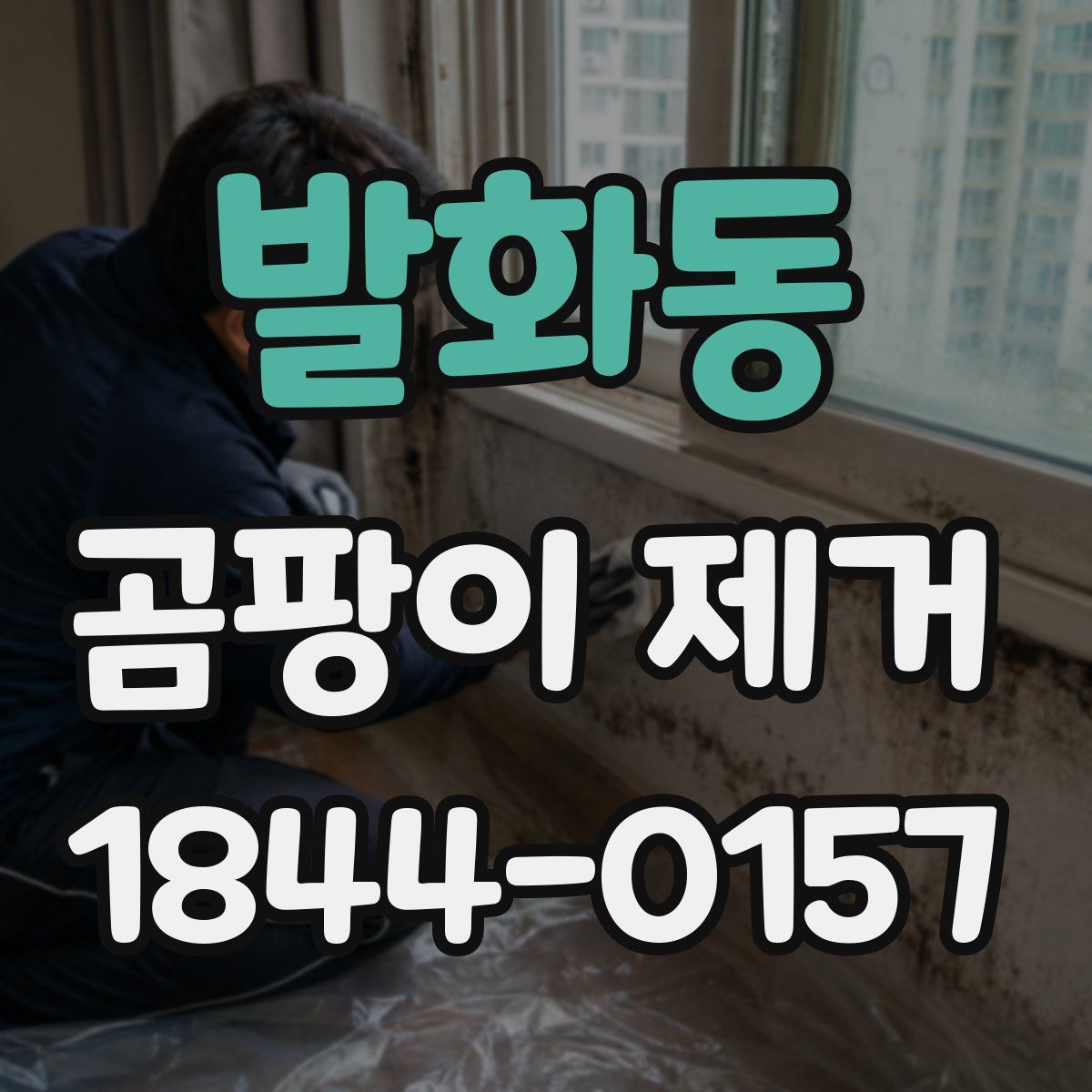 발화동 곰팡이 제거