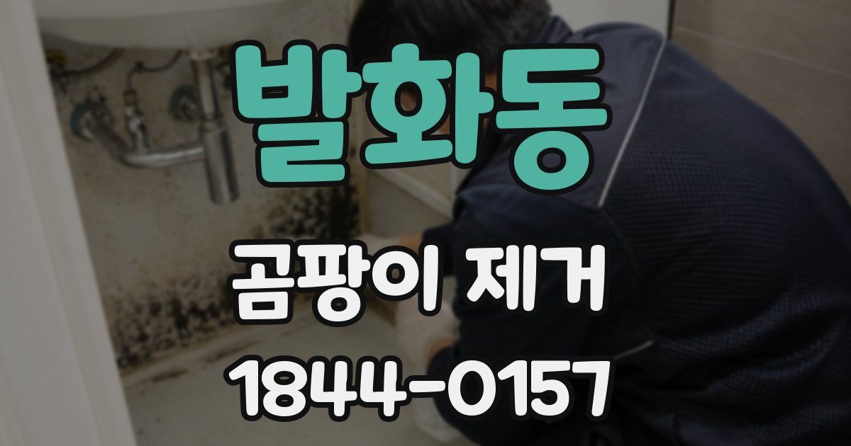 발화동 곰팡이 제거