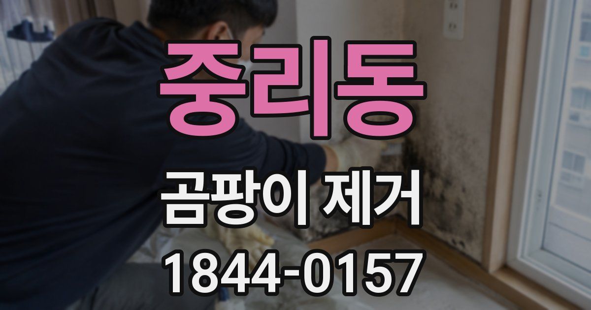 중리동 곰팡이 제거