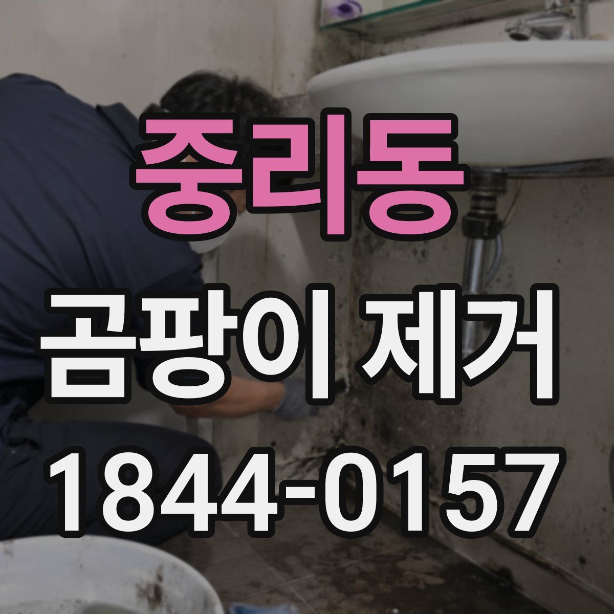 중리동 곰팡이 제거