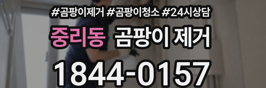 중리동 곰팡이 제거