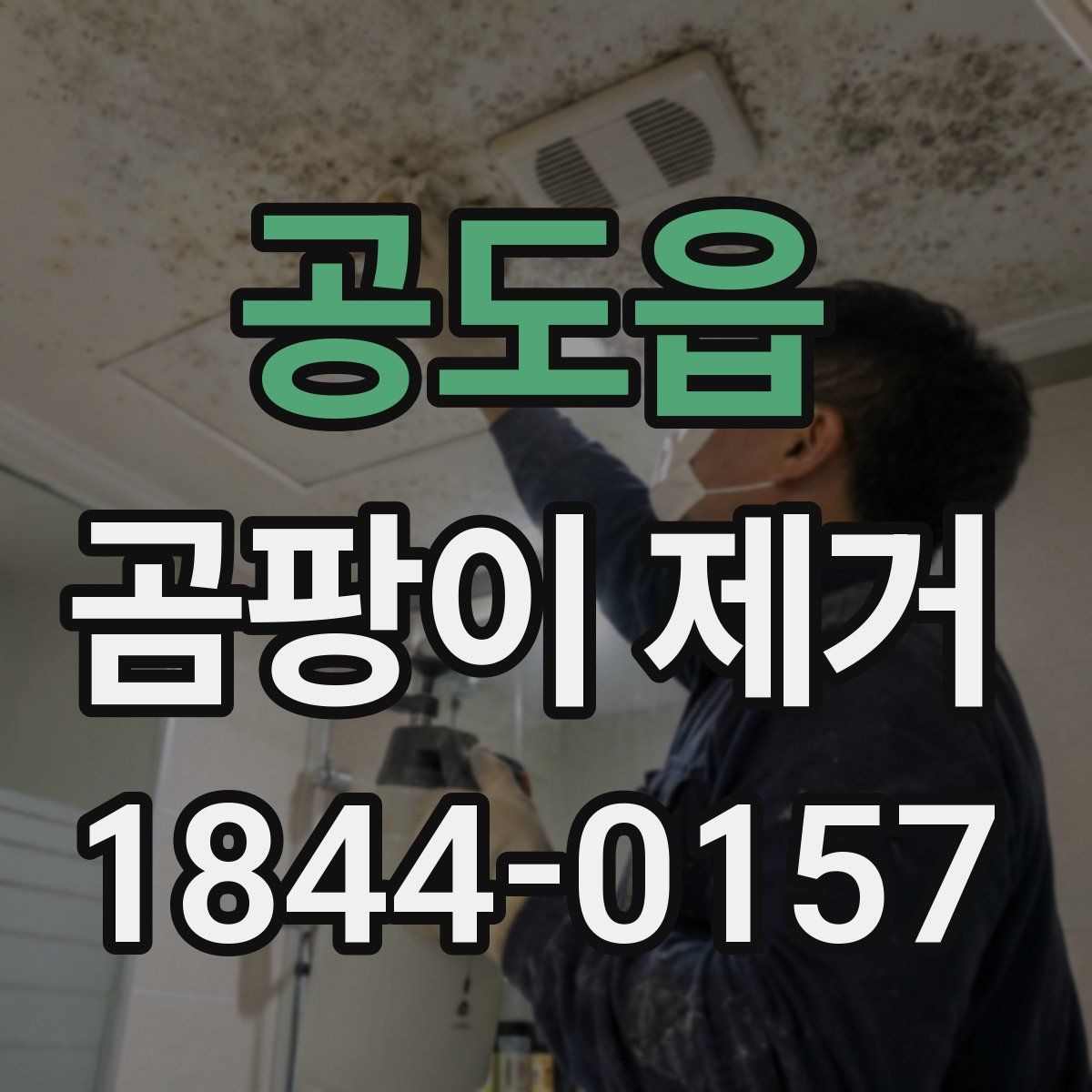 공도읍 곰팡이 제거