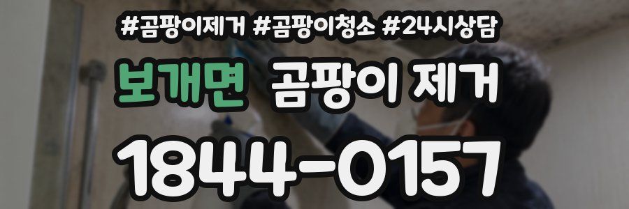 보개면 곰팡이 제거