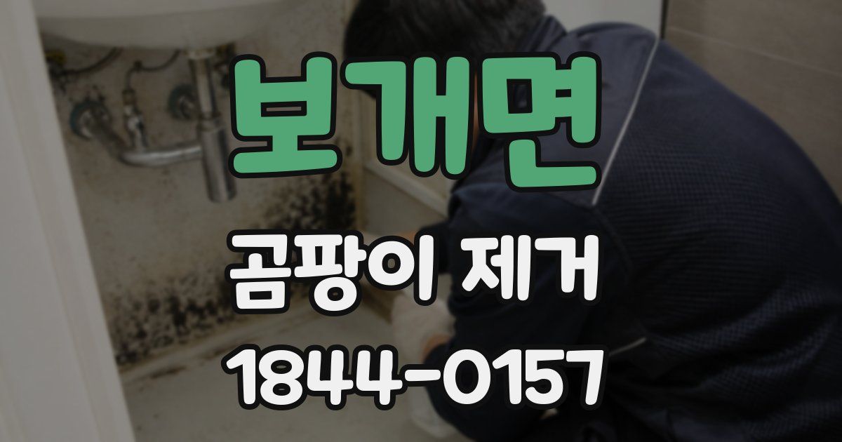 보개면 곰팡이 제거