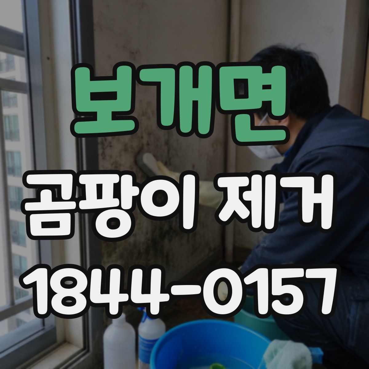 보개면 곰팡이 제거
