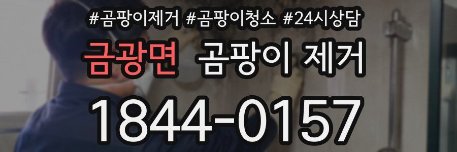 금광면 곰팡이 제거