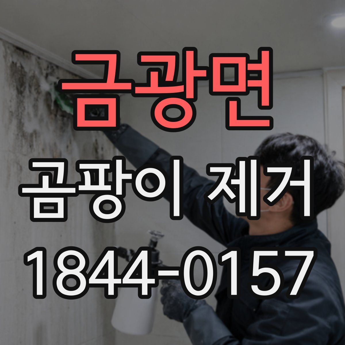 금광면 곰팡이 제거