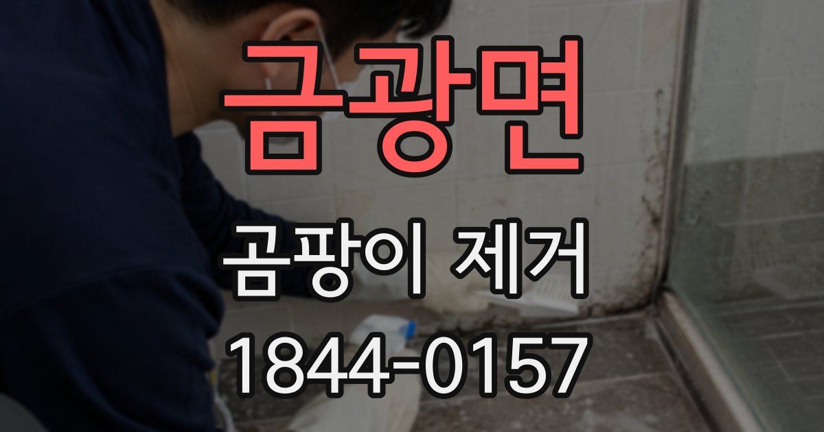 금광면 곰팡이 제거