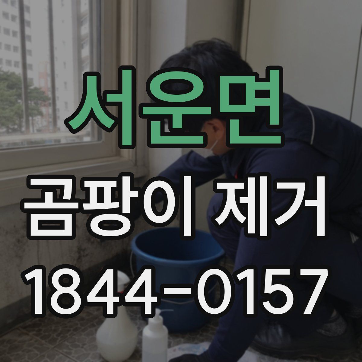 서운면 곰팡이 제거