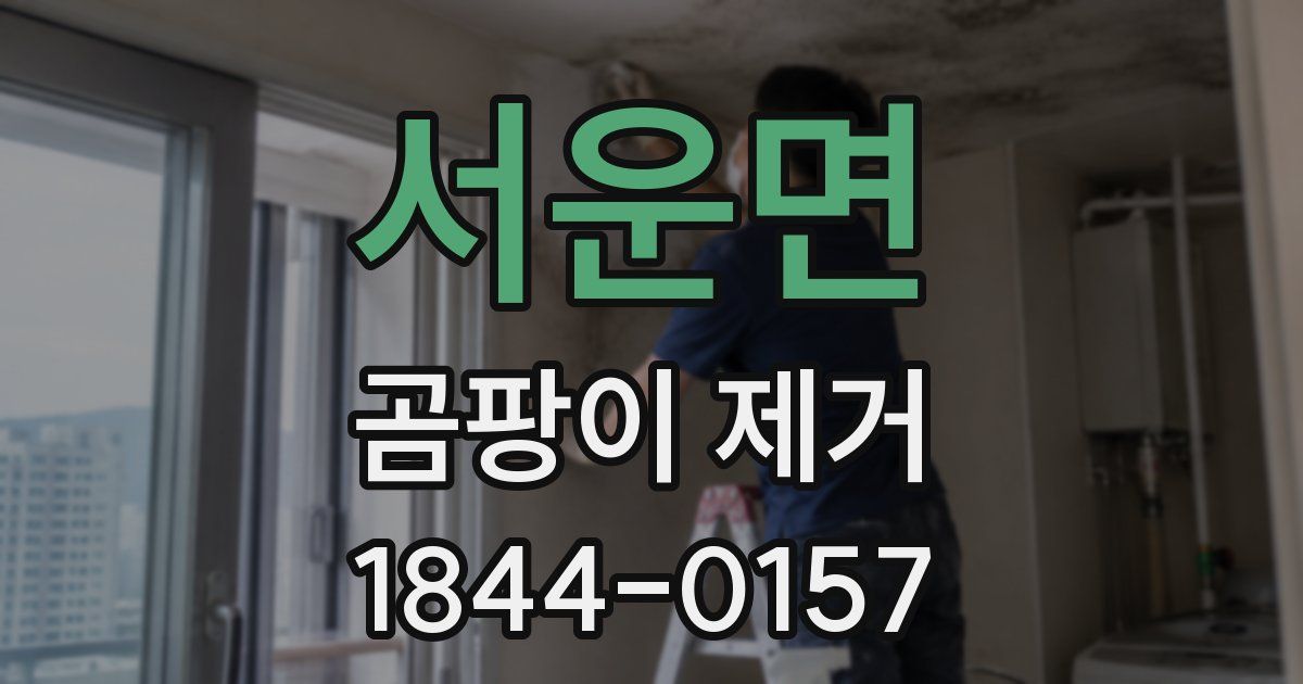 서운면 곰팡이 제거