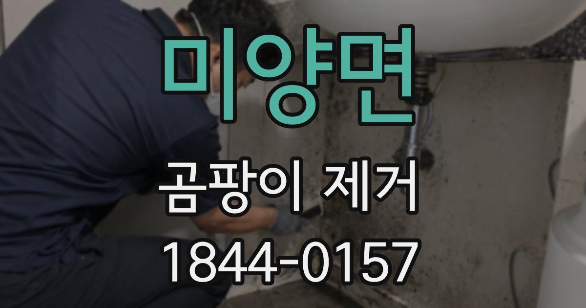 미양면 곰팡이 제거