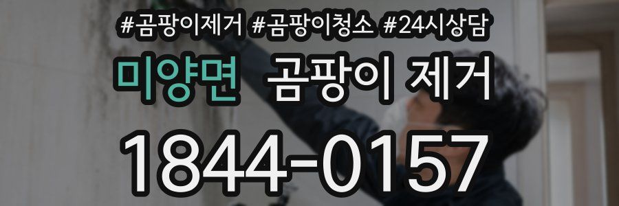 미양면 곰팡이 제거