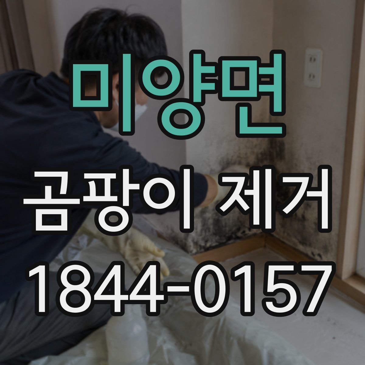 미양면 곰팡이 제거