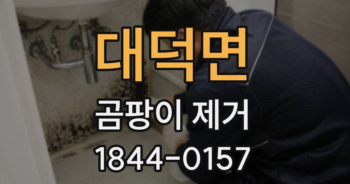 대덕면 곰팡이 제거