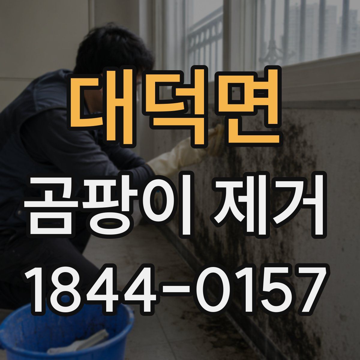 대덕면 곰팡이 제거