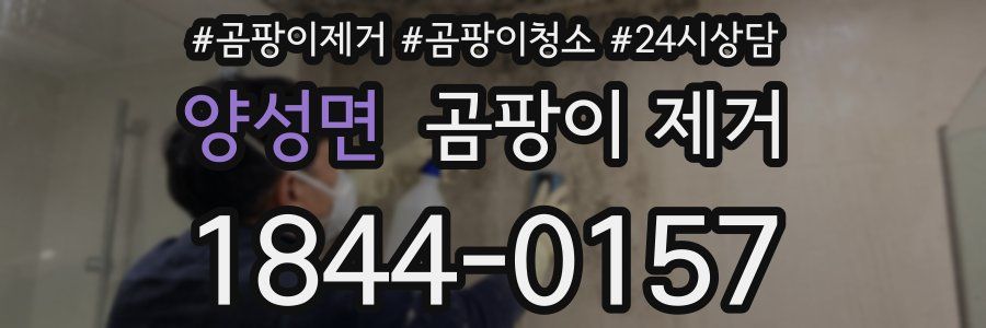 양성면 곰팡이 제거