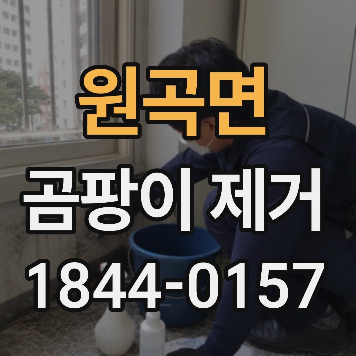원곡면 곰팡이 제거 천장과 코너부에 남기 쉬운 흔적