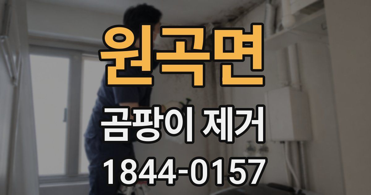 원곡면 곰팡이 제거