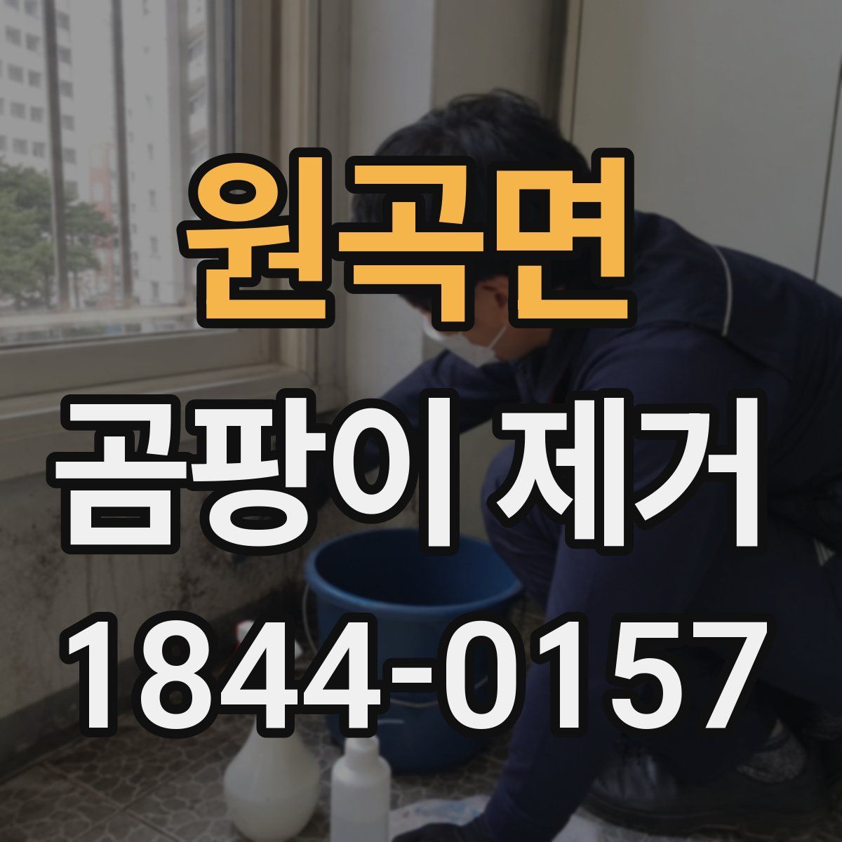원곡면 곰팡이 제거