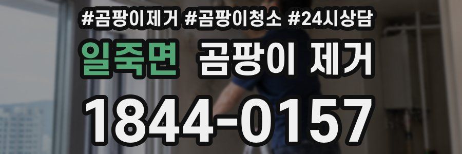 일죽면 곰팡이 제거