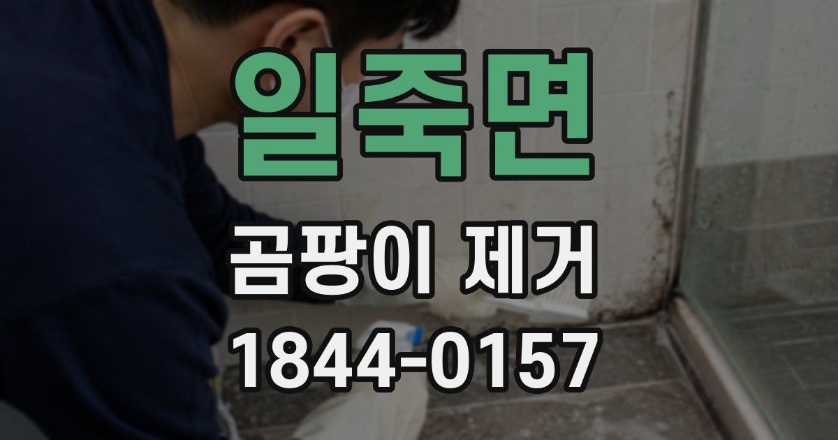 일죽면 곰팡이 제거