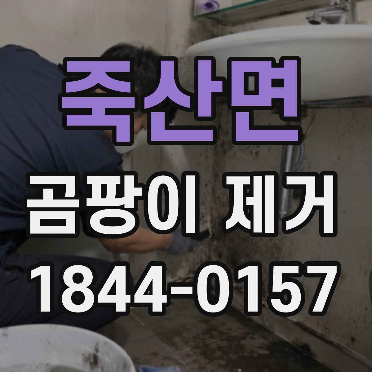 죽산면 곰팡이 제거