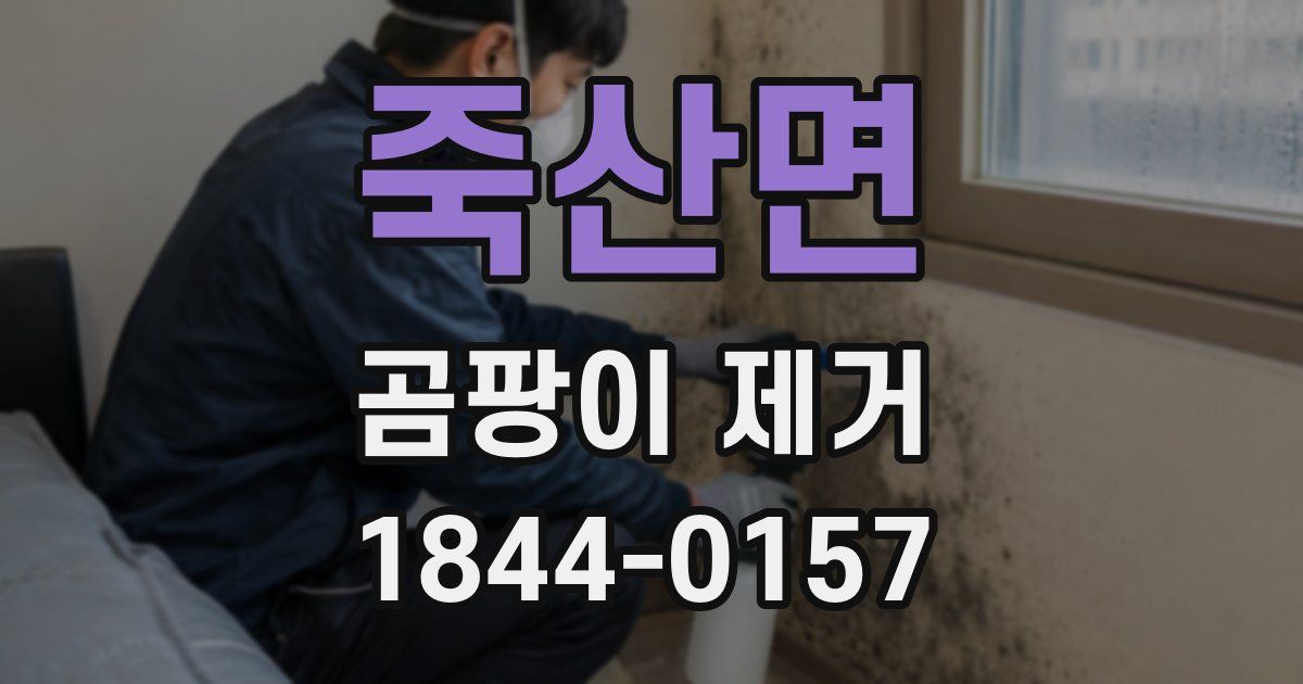 죽산면 곰팡이 제거