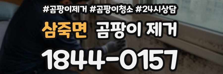 삼죽면 곰팡이 제거