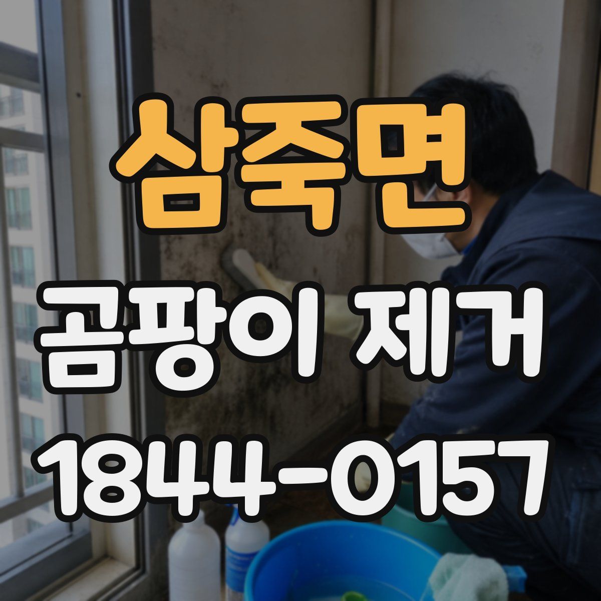 삼죽면 곰팡이 제거