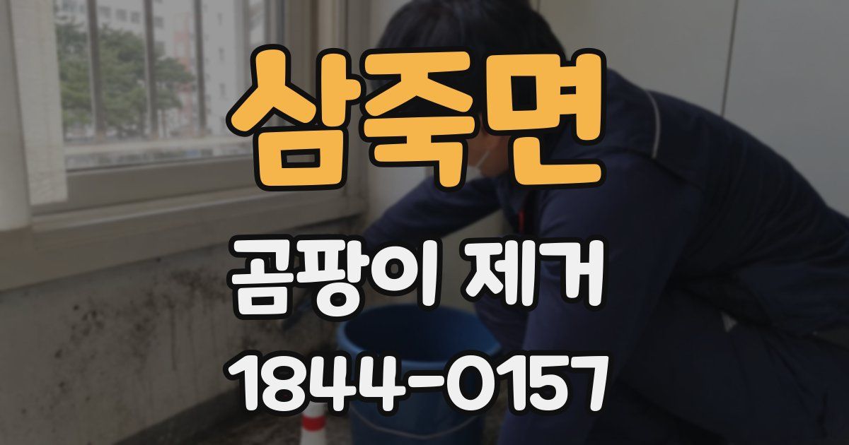 삼죽면 곰팡이 제거
