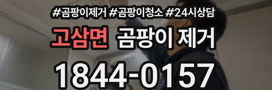 고삼면 곰팡이 제거