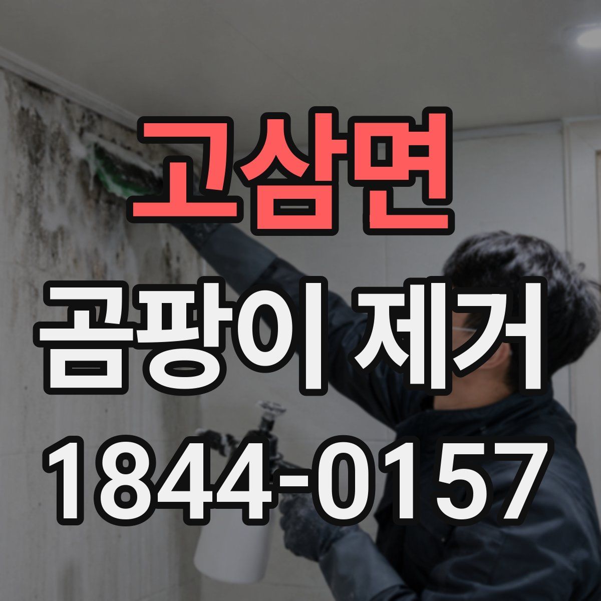 고삼면 곰팡이 제거