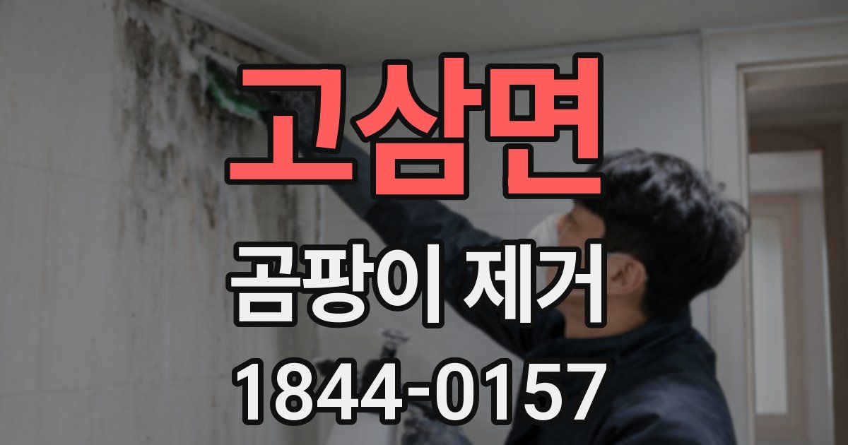고삼면 곰팡이 제거
