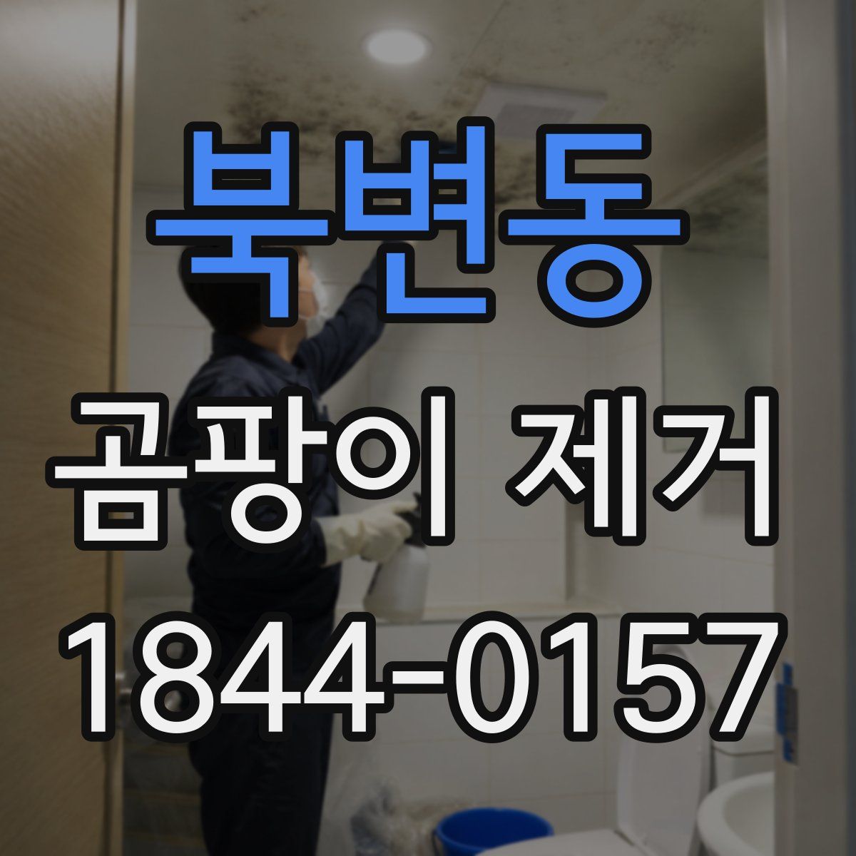 북변동 곰팡이 제거