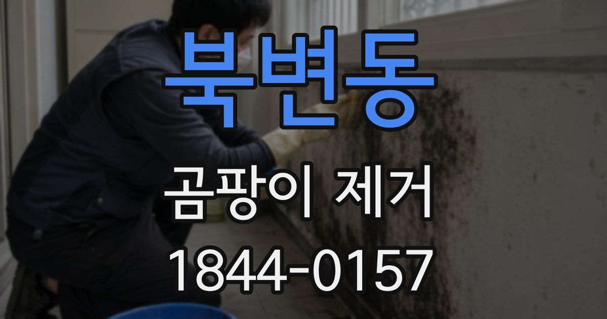 북변동 곰팡이 제거