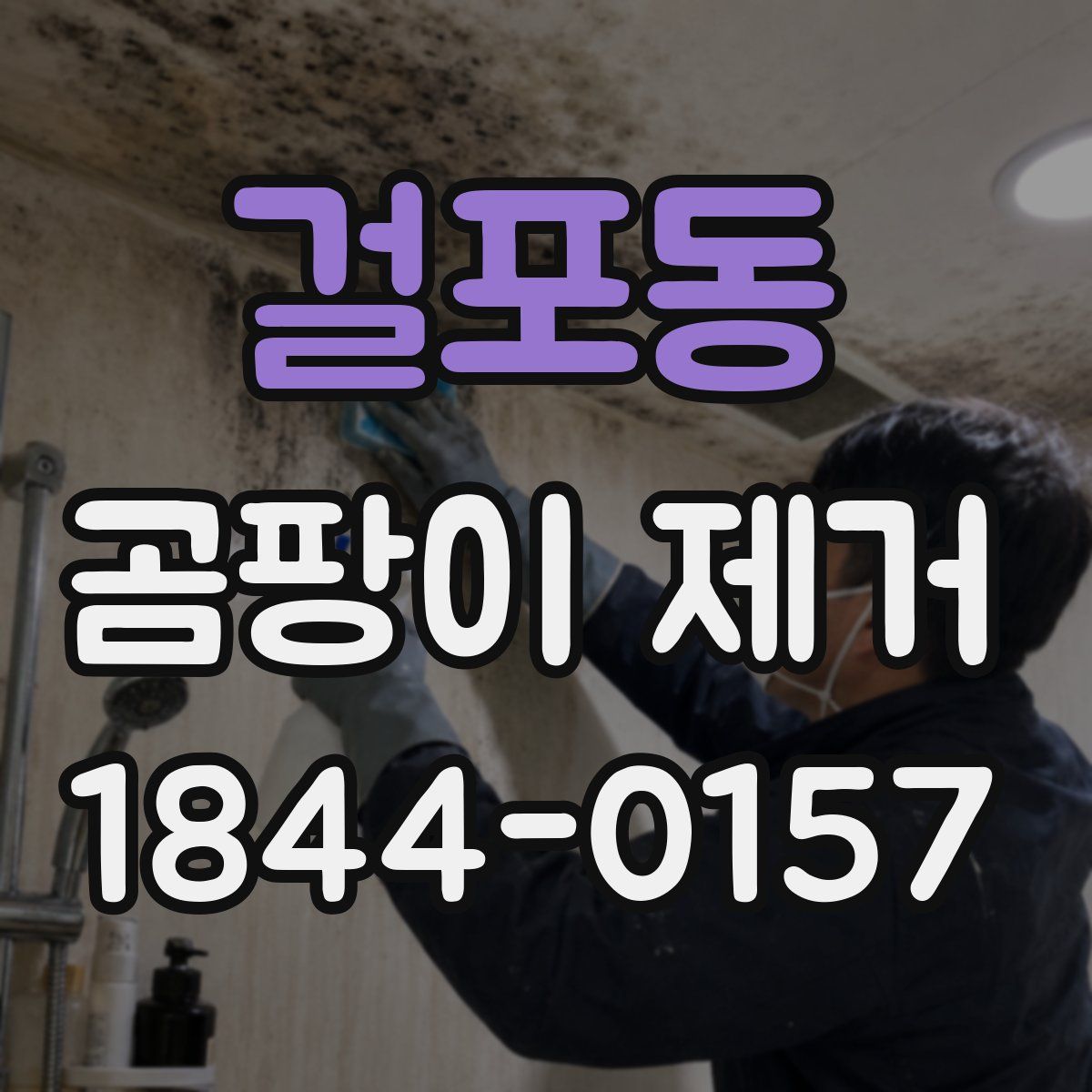 걸포동 곰팡이 제거