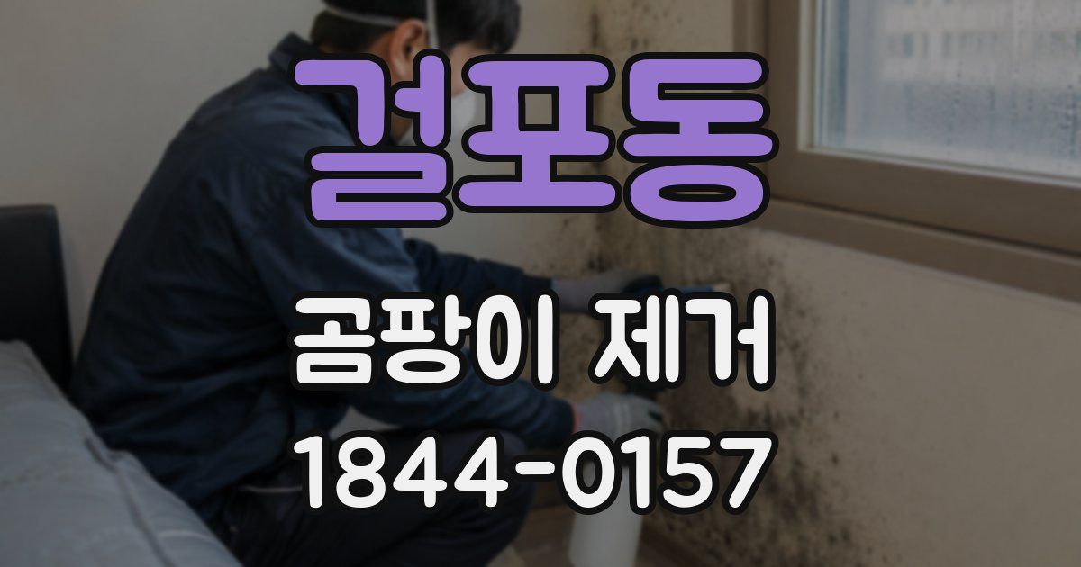 걸포동 곰팡이 제거