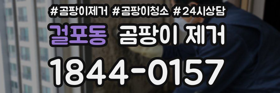 걸포동 곰팡이 제거